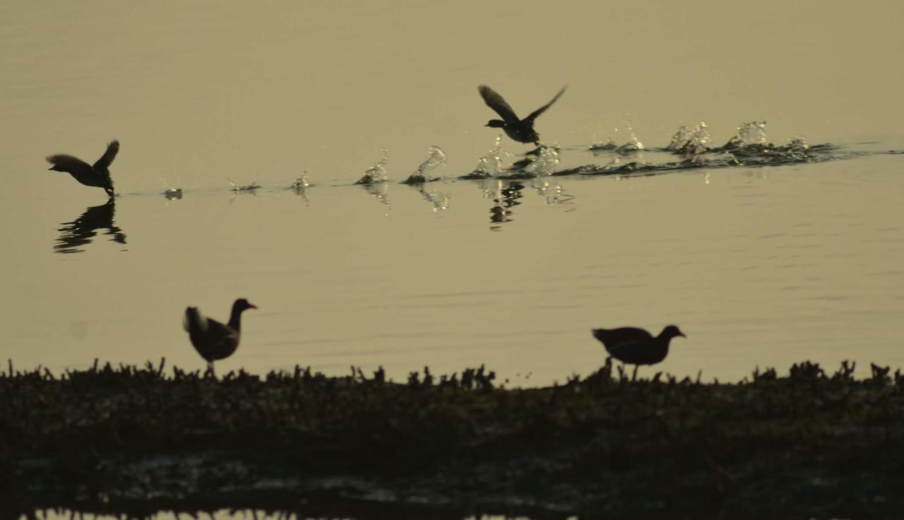 Water Bird Family Appartement Toucheng Buitenkant foto